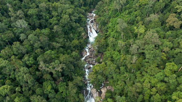 Solutions informatiques à toulouse : trouvez un prestataire pour pme et tpe